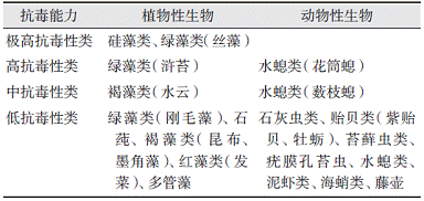 海洋防污劑——從有機錫到無毒高聚物